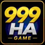999HA Game