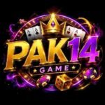 PAK14 Game